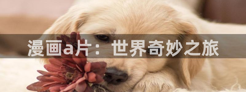 91羞羞色漫：漫画a片：世界奇妙之旅