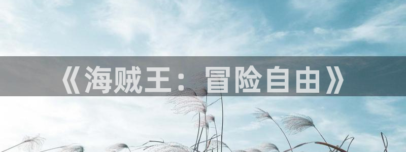 91漫画网站永久入口：《海贼王：冒险自由》