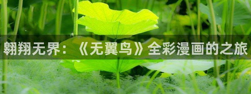 极品91尤物女神麻酥酥：翱翔无界：《无翼鸟》全彩漫画的之旅